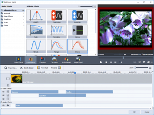 Read more about the article AVS Video Converter Review | WMV, DVD, FLV, Blue-Ray, MP4, MPEG – It Converts ALL Formats!